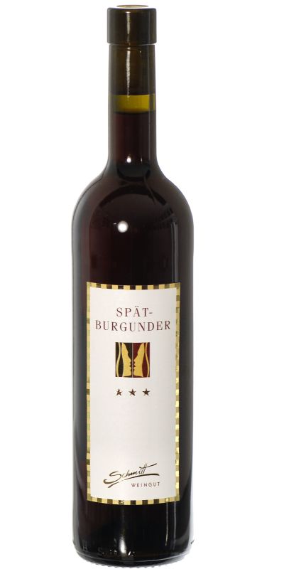 Spätburgunder Rotwein trocken -Ilbesheimer Rittersberg - 2023
